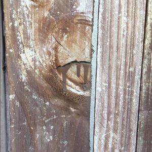 Meet your Posher, Milan